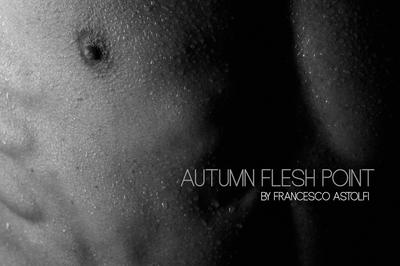 Book AUTUMN FLESH POINT